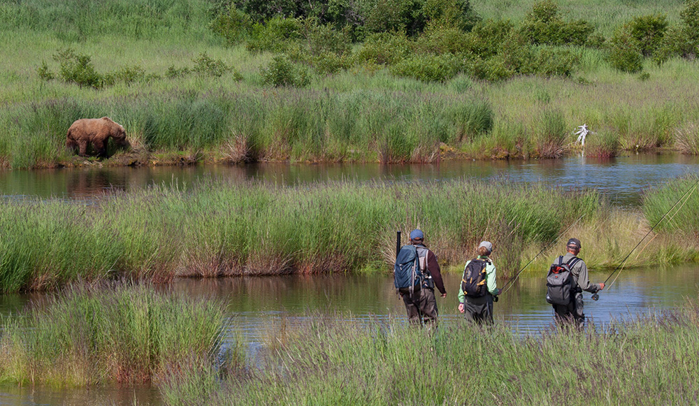 Brooks Lodge Fishing with Bear