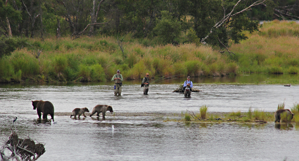 Brooks Lodge Fishing with Bears