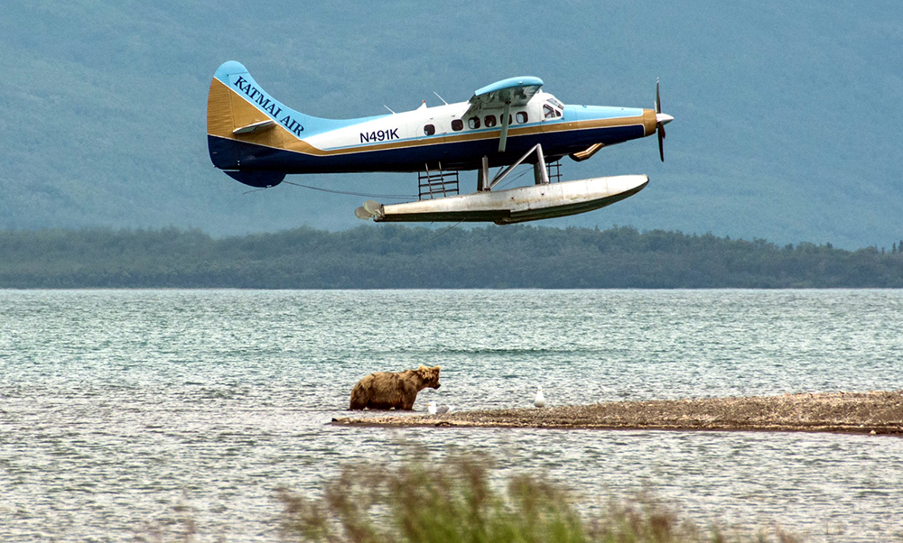 Brooks Lodge Katmai Air Float Plane and Bear